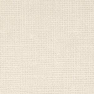 BUECHEL_(VPBC-02)_Paper Birch_KOROSEAL