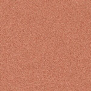 STRATHMOOR_(VPST-02)_Fried Clay_KOROSEAL
